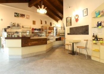 Attività Commerciale Via martiri della libertà, Salussola - foto 3