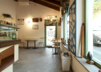 Attività Commerciale Via martiri della libertà, Salussola - foto 5