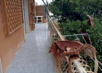 Villa Ventimiglia - foto 11