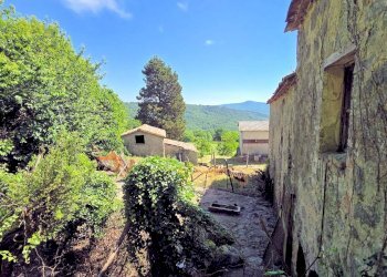 Foto 3 - Rustico via S.Girolamo, Roccastrada - foto 3