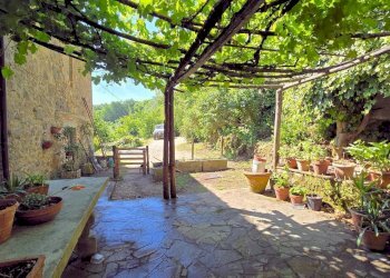Foto 9 - Rustico via S.Girolamo, Roccastrada - foto 9