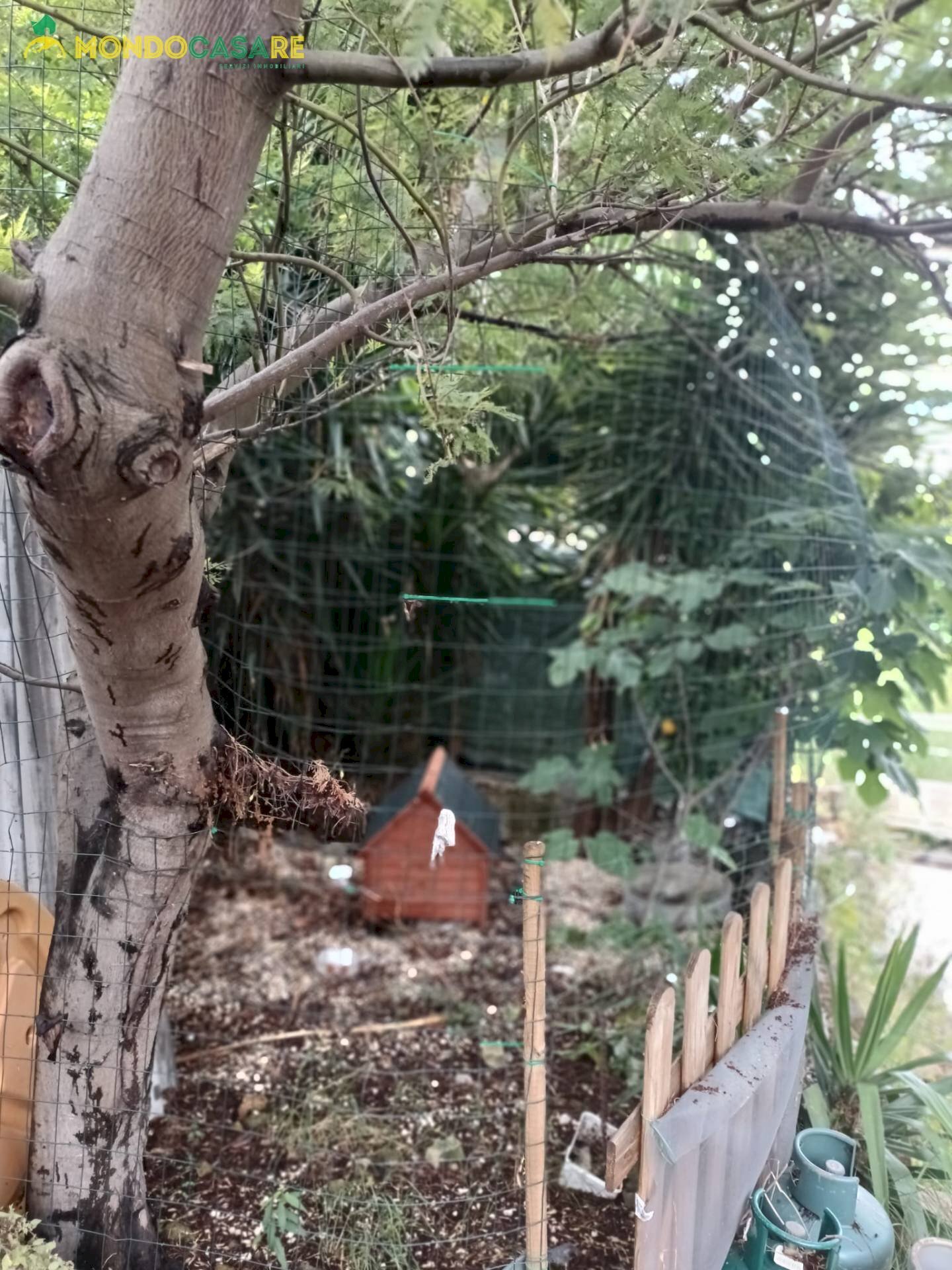 Foto 1 - Appartamento Via Roma, Moricone - foto 1