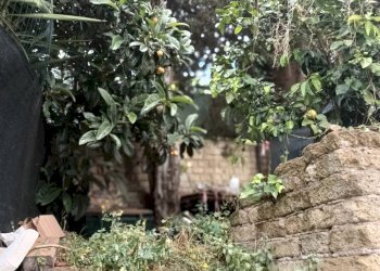 Foto 4 - Appartamento Via Roma, Moricone - foto 4