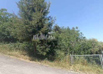 Foto 1 - Terreno edificabile via mediterraneo, Monteprandone - foto 1