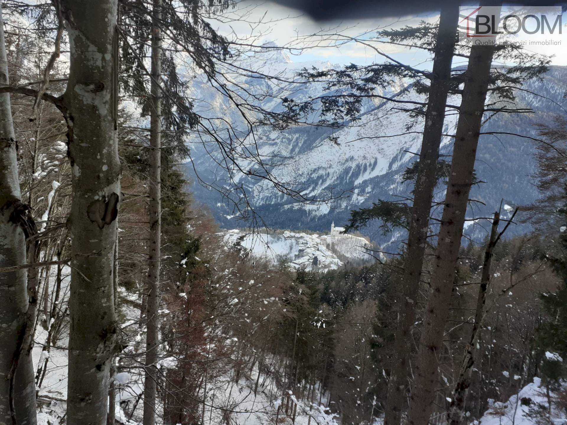 Foto 4 - Building land Valle di Cadore - photo 3