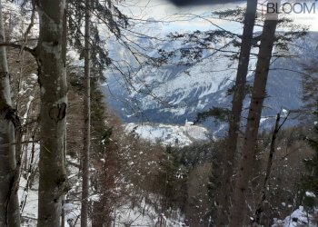 Foto 4 - Building land Valle di Cadore - photo 3
