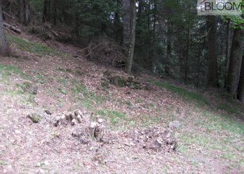 Foto 6 - Building land Valle di Cadore - photo 5