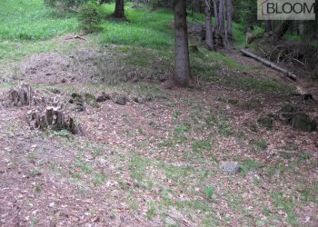 Foto 10 - Building land Valle di Cadore - photo 9