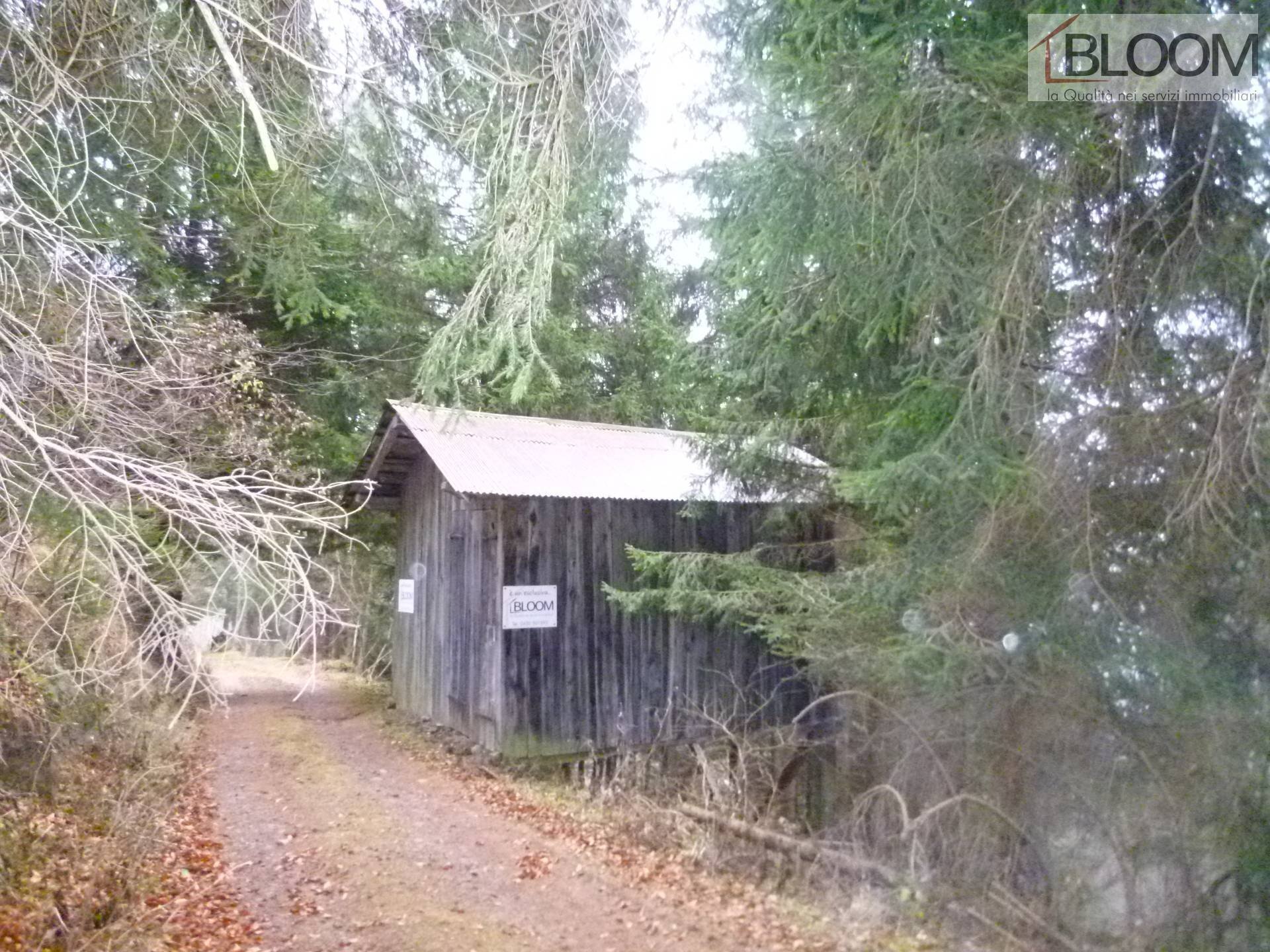 Foto 1 - Rustico Loc. Soravizza
 
sn, Valle di Cadore - foto 1