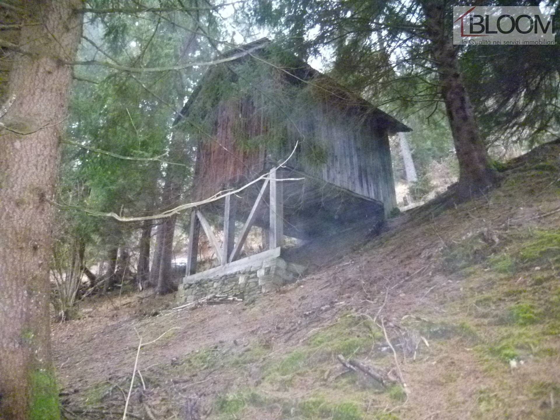 Foto 2 - Rustico Loc. Soravizza
sn, Valle di Cadore - foto 2