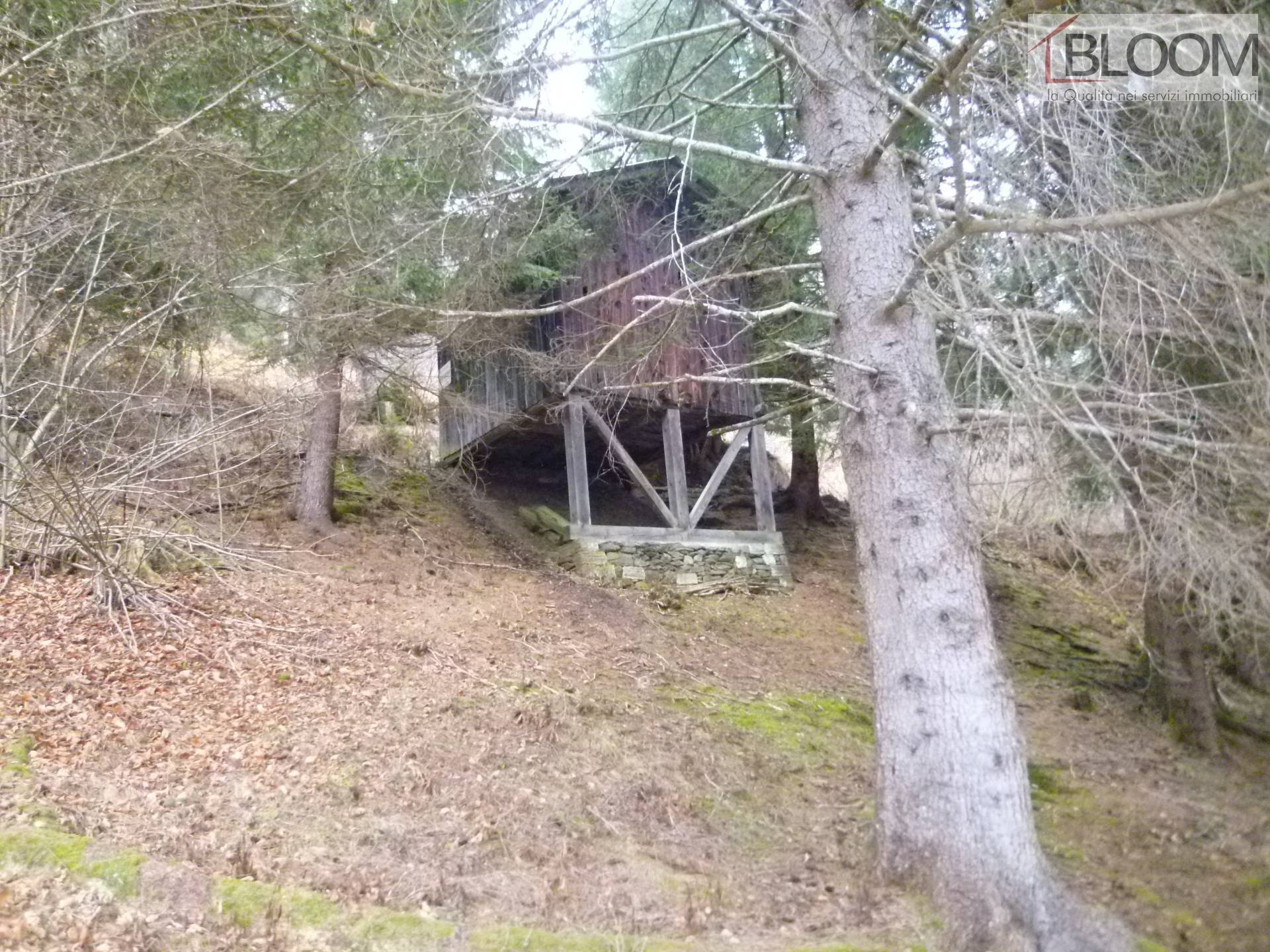Foto 3 - Rustico Loc. Soravizza
sn, Valle di Cadore - foto 3