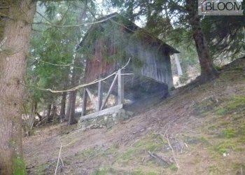 Foto 2 - Rustico Loc. Soravizza
sn, Valle di Cadore - foto 2