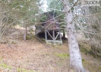 Foto 3 - Rustico Loc. Soravizza
sn, Valle di Cadore - foto 3
