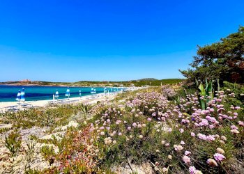 Foto 22 - Three-room apartment Via Veneto
 
sn, Badesi - photo 22