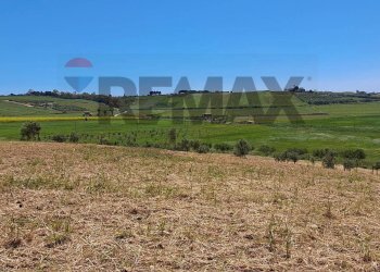 Vista delle montagne - Building land Contrada Belice Mare, Castelvetrano - photo 10
