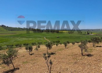 Vista delle montagne - Building land Contrada Belice Mare, Castelvetrano - photo 11