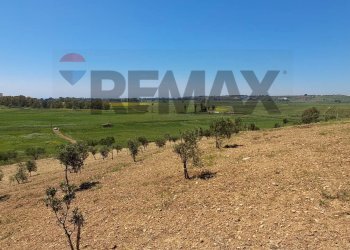 Vista delle montagne - Building land Contrada Belice Mare, Castelvetrano - photo 13