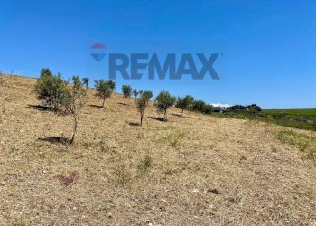 Vista delle montagne - Building land Contrada Belice Mare, Castelvetrano - photo 16