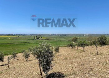 Giardino - Building land Contrada Belice Mare, Castelvetrano - photo 19
