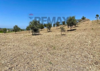 Giardino - Building land Contrada Belice Mare, Castelvetrano - photo 26