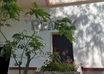 Dettagli - Casa semi indipendente Via Leonardo Centonze
 
61, Castelvetrano - foto 4