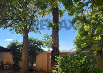 Giardino - Casa semi indipendente Via Leonardo Centonze
 
61, Castelvetrano - foto 10