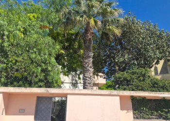 Edificio all\'aperto - Casa semi indipendente Via Leonardo Centonze
 
61, Castelvetrano - foto 27