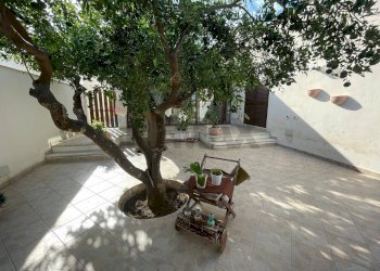 Terrazza - Villa Via delle Mandorle
 
29, Valderice - foto 6