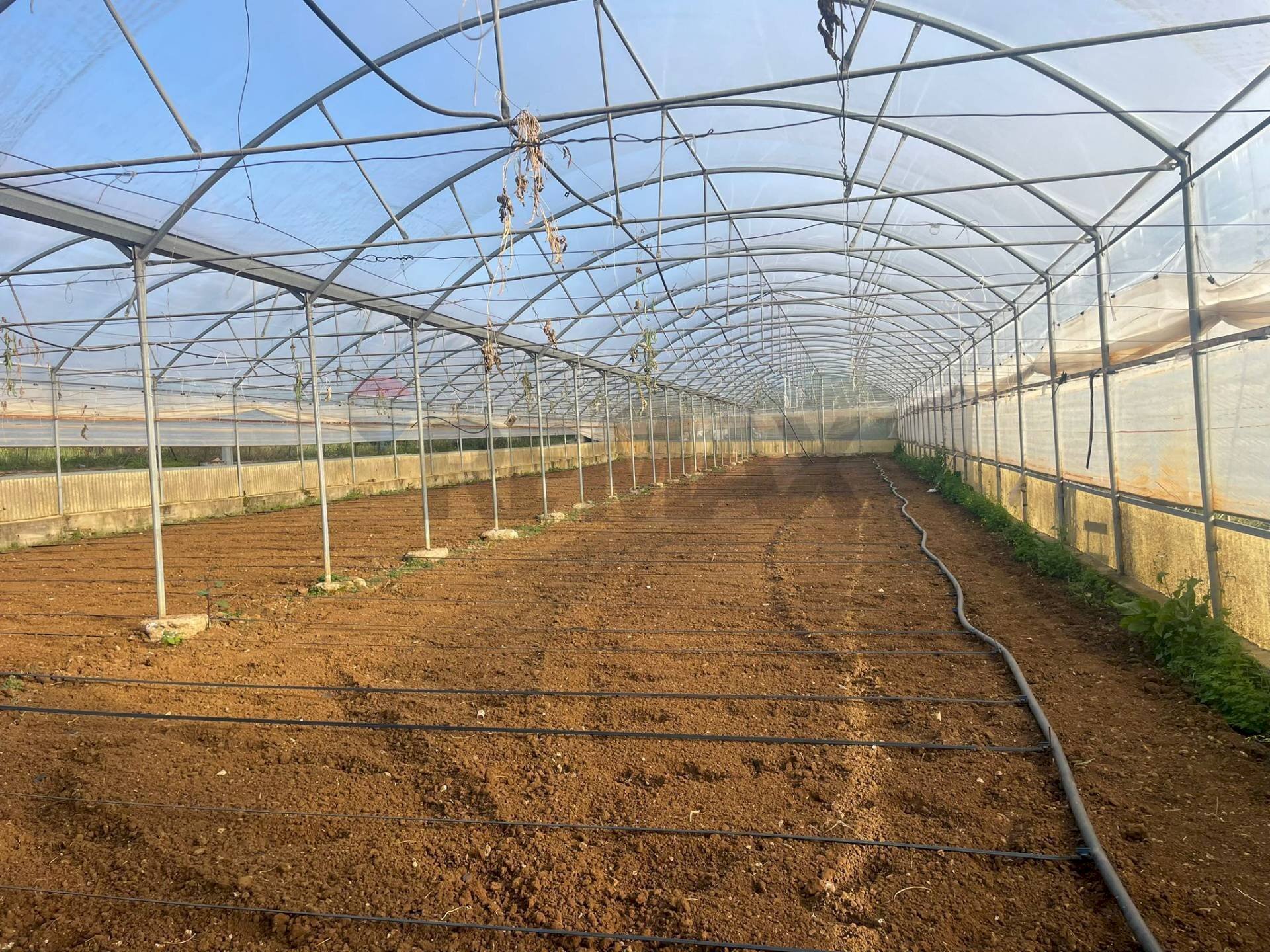 Vista dell\'acqua - Farm Partinico - photo 2