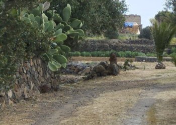 Giardino - Appartamento Localita Kuddia Bruciata, Pantelleria - foto 4