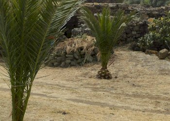 Giardino - Appartamento Localita Kuddia Bruciata, Pantelleria - foto 9