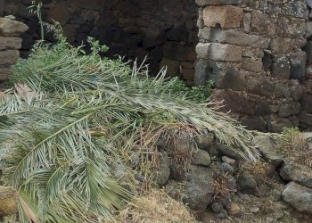 Vista delle montagne - Appartamento Localita Kuddia Bruciata, Pantelleria - foto 21