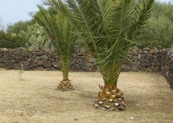 Giardino - Appartamento Localita Kuddia Bruciata, Pantelleria - foto 22