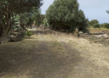 Giardino - Appartamento Localita Kuddia Bruciata, Pantelleria - foto 26