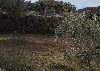 Giardino - Appartamento Localita Kuddia Bruciata, Pantelleria - foto 33