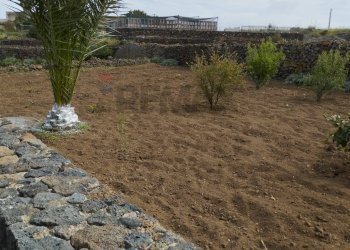 Giardino - Appartamento Localita Kuddia Bruciata, Pantelleria - foto 37