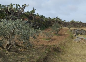 Vista delle montagne - Appartamento Localita Kuddia Bruciata, Pantelleria - foto 45