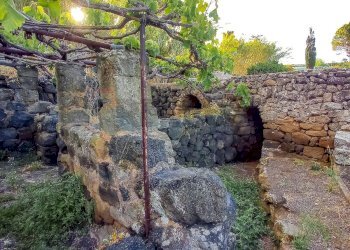Giardino - Appartamento Bonsulton, Pantelleria - foto 8