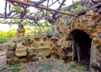 Giardino - Appartamento Bonsulton, Pantelleria - foto 11