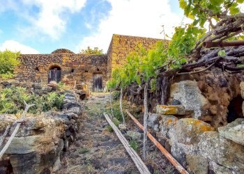 Giardino - Appartamento Bonsulton, Pantelleria - foto 13
