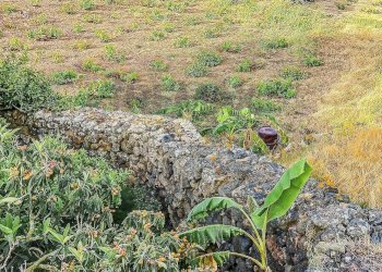 Vista delle montagne - Appartamento Bonsulton, Pantelleria - foto 19