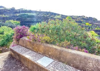 Giardino - Appartamento Località Bonsulton, Pantelleria - foto 18