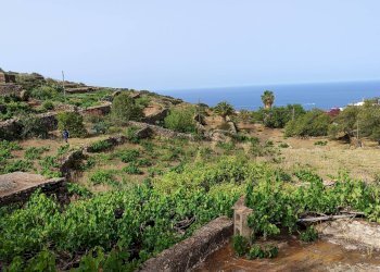 Vista delle montagne - Appartamento Località Bonsulton, Pantelleria - foto 34