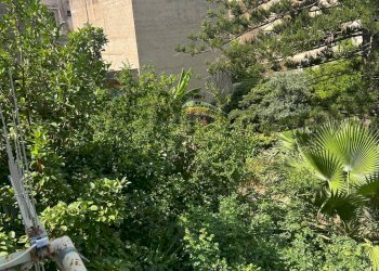 Edificio all\'aperto - Independent house Trapani - photo 40