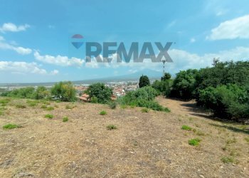 Giardino - Terreno edificabile Via Sole
 
s.n.c., Motta Sant'Anastasia - foto 14