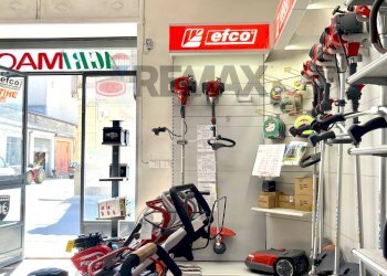 Palestra - Commercial Activity Via francesco Crispi
 
176, Grammichele - photo 16
