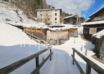 Foto 18 - Rustic Canale d'Agordo - photo 18