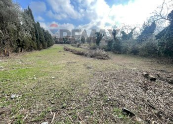 Vista delle montagne - Terreno edificabile Formello - foto 2