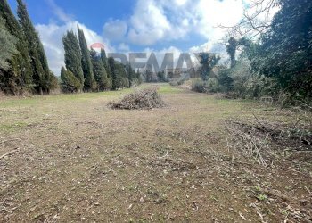Giardino - Terreno edificabile Formello - foto 11