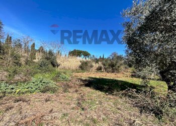 Vista delle montagne - Terreno edificabile Formello - foto 17